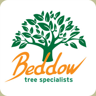 Beddow Tree Care